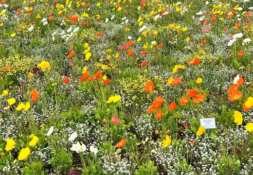 23-05-16 10-52-45 5385